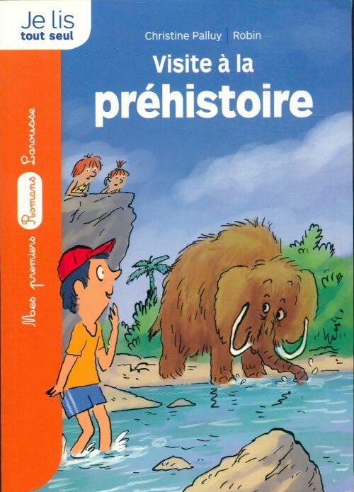 Livrenpoche : La pierre du temps : Visite à la préhistoire - Christine; Robin Palluy - Livre