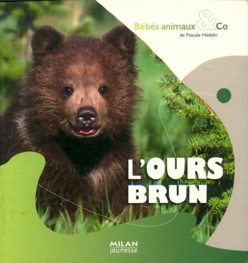 Livrenpoche : L'ours brun - Pascale Hédelin - Livre