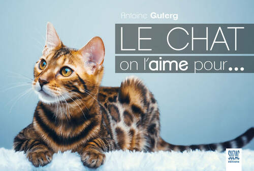 Livrenpoche : Le chat on l'aime pour - Antoine Guterg - Livre