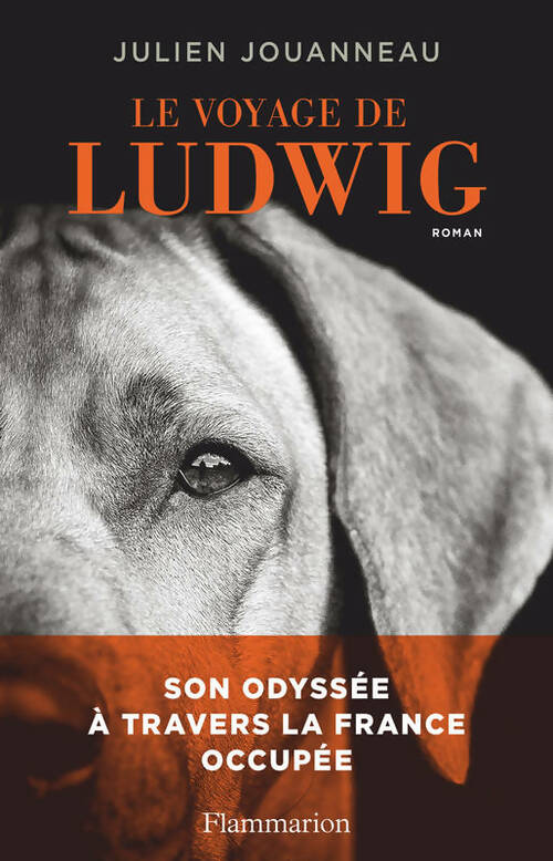 Livrenpoche : Le voyage de Ludwig - Julien Jouanneau - Livre