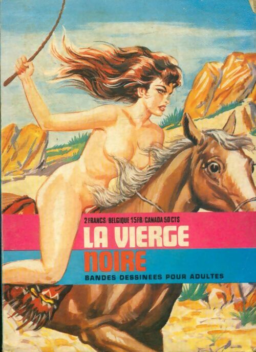 Livrenpoche : La vierge noire n°2 - Collectif - Livre