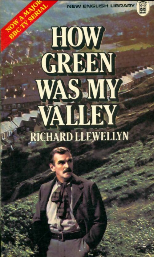 Livrenpoche : How green was my valley - Richard Llewellyn - Livre