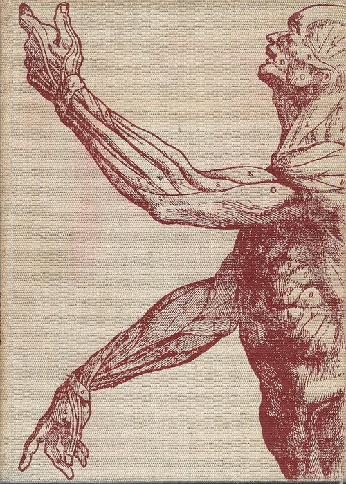 Livrenpoche : Les merveilles de notre corps 2 volumes - Collectif - Livre