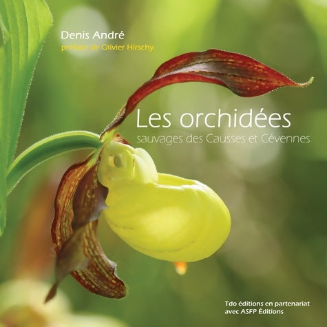 Livrenpoche : Les orchidées sauvages des causses et Cévennes - Denis André - Livre