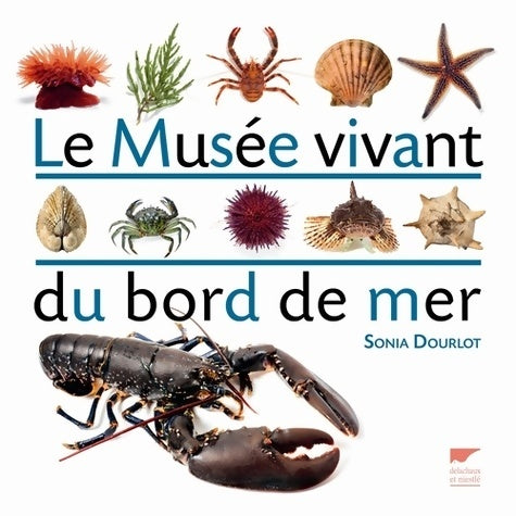 Livrenpoche : Le musée vivant du bord de mer - Sonia Dourlot - Livre