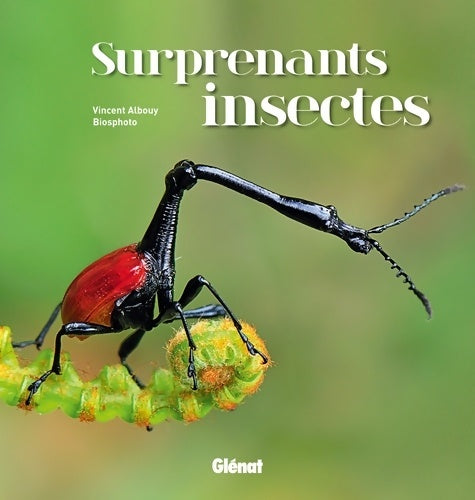 Livrenpoche : Surprenants insectes - Vincent Albouy - Livre