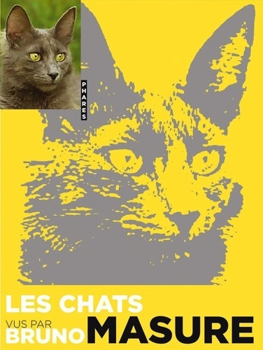 Livrenpoche : Les chats vu par Bruno masure - Bruno Masure - Livre