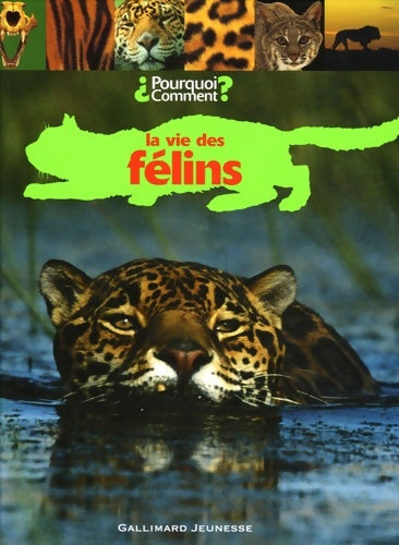Livrenpoche : La vie des félins - Collectif - Livre