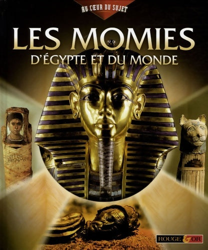 Livrenpoche : Momies d Egypte et du monde - John Malam - Livre
