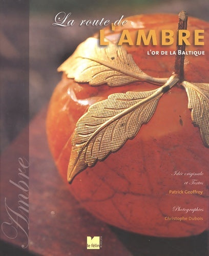 Livrenpoche : La route de l'ambre : L'or de la baltique - Patrick Geoffroy - Livre