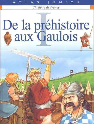Livrenpoche : L'histoire de France Tome I : De la préhistoire aux gaulois - Collectif - Livre