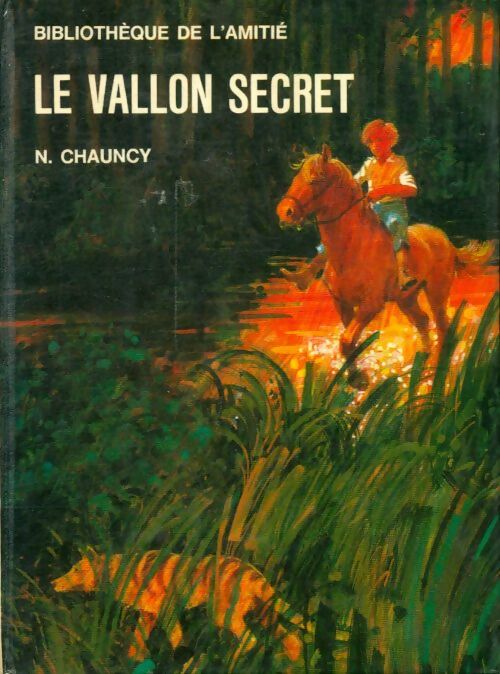 Livrenpoche : Le vallon secret - N. Chauncy - Livre