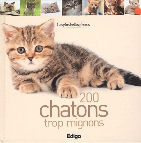 Livrenpoche : 200 chatons trop mignons : Les plus belles photos - Collectif - Livre