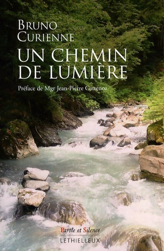 Livrenpoche : Un chemin de lumière : Petite introduction à la vie mystique chrétienne - Bruno Curienne - Livre