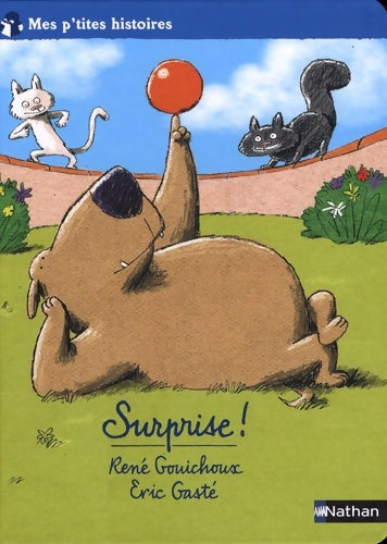 Livrenpoche : Surprise - René Gouichoux - Livre