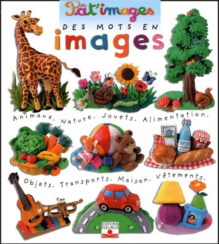 Livrenpoche : Mots en images (des) - Emilie Beaumont - Livre