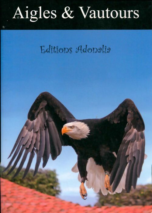 Livrenpoche : Aigles & vautours - Collectif - Livre