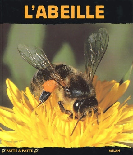 Livrenpoche : L'abeille - Paul Starosta - Livre