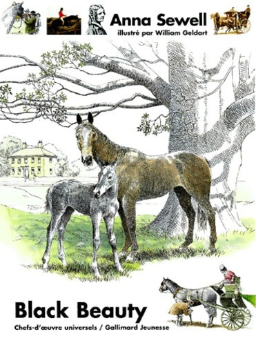 Livrenpoche : Black beauty - A. Sewell - Livre