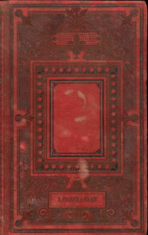 Livrenpoche : Un oiseau de proie parisien - Nelly Lieutier-Besson - Livre