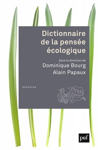 Livrenpoche : Dictionnaire de la pensée écologique - Dominique Bourg - Livre