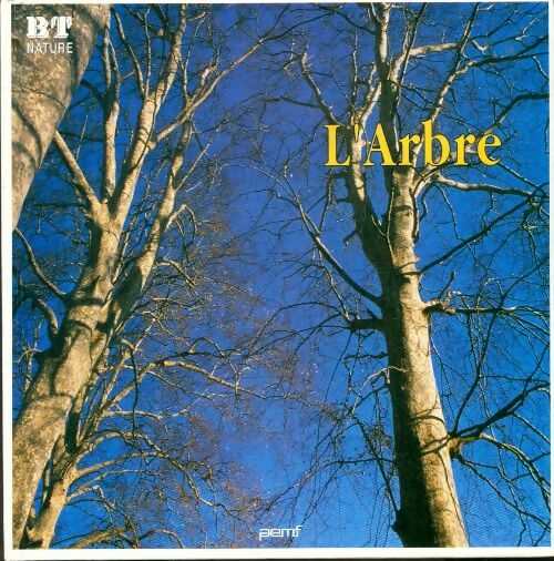 L'arbre - Hélène Montardre - Livre