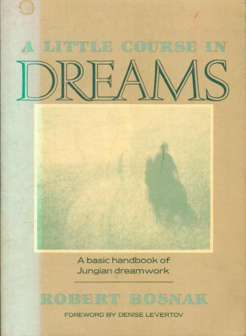Livrenpoche : A little course in dreams - Robert Bosnak - Livre