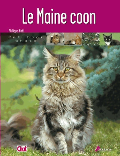 Livrenpoche : MAINE COON - Philippe Noël - Livre