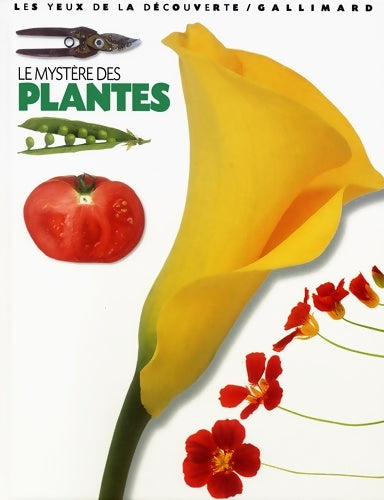 Livrenpoche : Le mystère des plantes - David Burnie - Livre