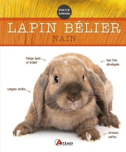 Livrenpoche : Lapin bélier nain - Nathalie Semenuik - Livre