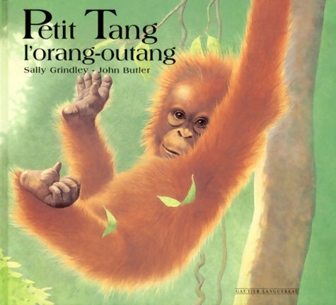 Livrenpoche : Petit tang l'orang-outang - Sally Grindley - Livre