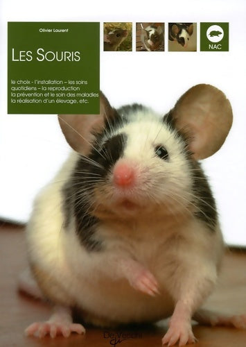 Livrenpoche : Les souris - Olivier Laurent - Livre