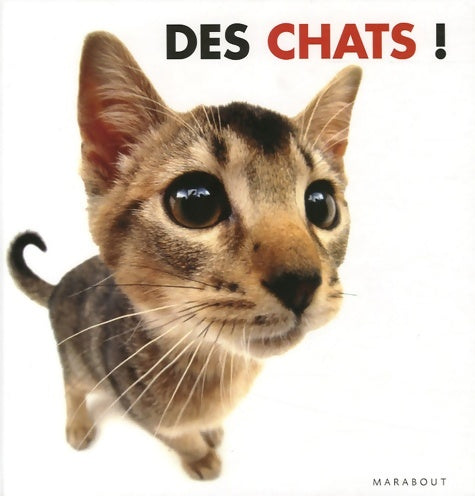Livrenpoche : Des chats ! - Rod Green - Livre