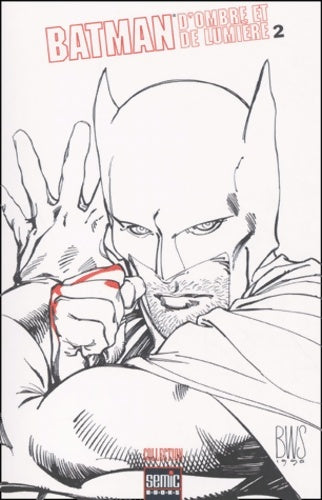 Livrenpoche : Batman : D'ombre et de lumière 2 - Collectif - Livre