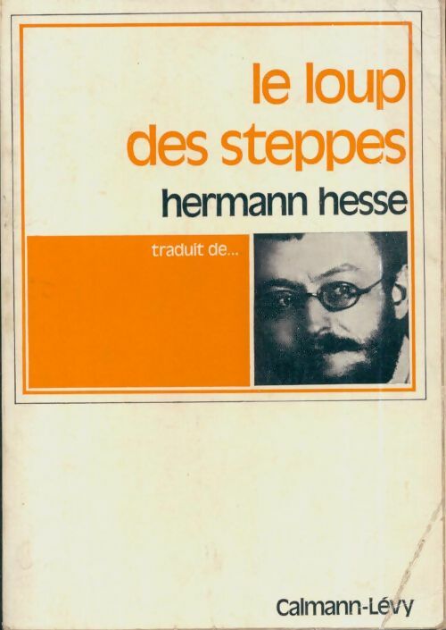 Livrenpoche : Le loup des steppes - Hermann Hesse - Livre