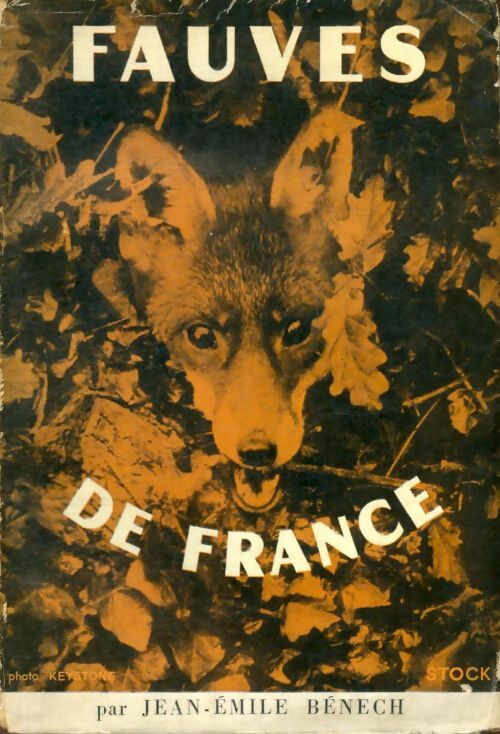 Livrenpoche : Fauves de France - Jean-Emile Bénech - Livre