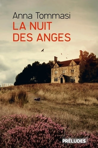 Livrenpoche : La Nuit des anges - Anna Tommasi - Livre