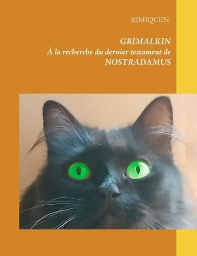 Livrenpoche : Grimalkin : À la recherche du dernier testament de Nostradamus - Rimiquen - Livre