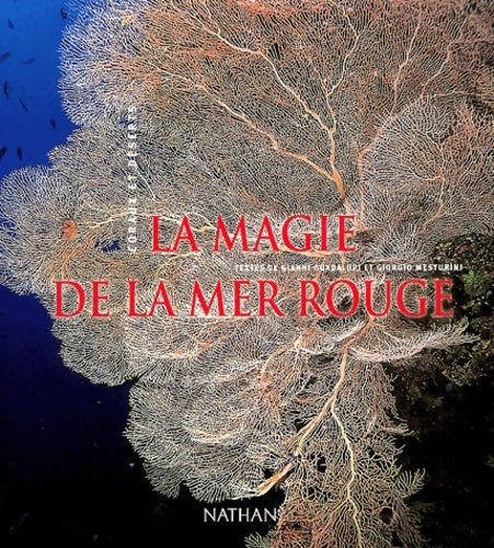 Livrenpoche : La magie de la mer rouge - Gianni Guadalupi - Livre
