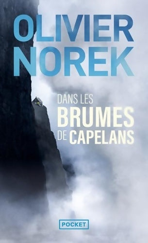 Livrenpoche : Dans les brumes de Capelans - Olivier Norek - Livre