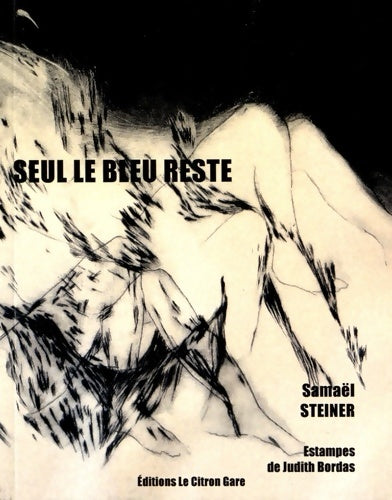 Livrenpoche : Seul le bleu reste - Samaël Steiner - Livre
