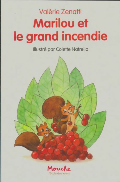Livrenpoche : Marilou et le grand incendie - Valérie Zenatti - Livre