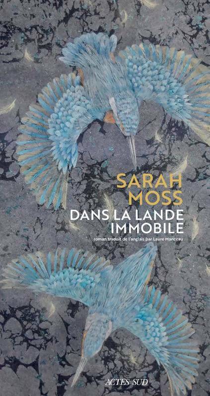 Livrenpoche : Dans la lande immobile - Sarah Moss - Livre