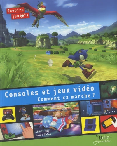 Livrenpoche : Console et jeux vidéos comment ça marche ? - C . Ray - Livre