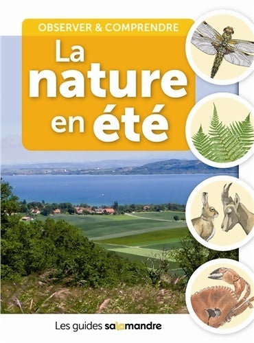 Livrenpoche : La nature en été - Aino Adriaens - Livre