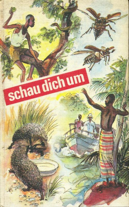 Livrenpoche : Schau dich um - Collectif - Livre