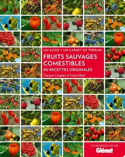 Livrenpoche : Fruits sauvages comestibles : 40 recettes originales - François Couplan - Livre