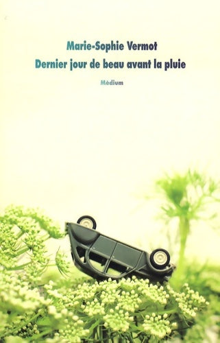 Livrenpoche : Dernier jour de beau avant la pluie - Marie-Sophie Vermot - Livre