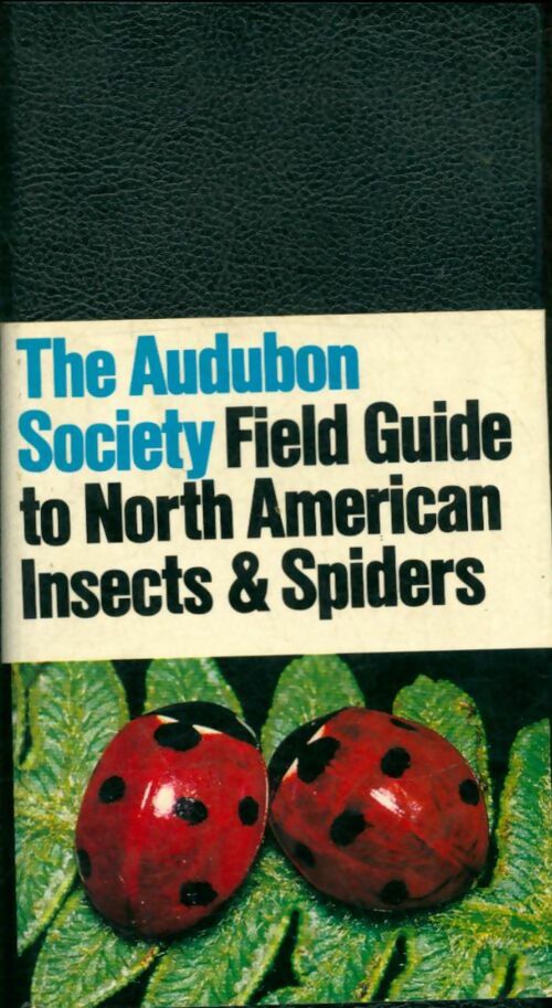 Livrenpoche : The Audubon Society Field Guide to Insects and Spiders - Collectif - Livre