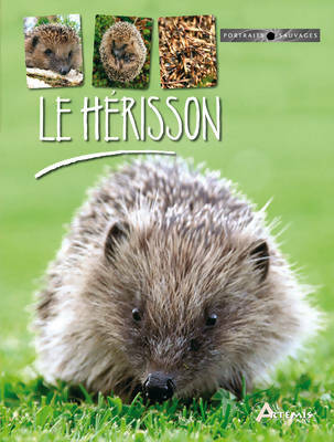 Livrenpoche : Le hérisson - Corinne Chesne - Livre